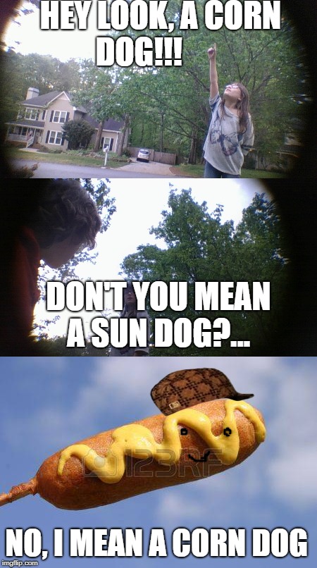 no, a corn dog | HEY LOOK, A CORN DOG!!! DON'T YOU MEAN A SUN DOG?... NO, I MEAN A CORN DOG | image tagged in troll face,that would be great,funny meme,google images | made w/ Imgflip meme maker