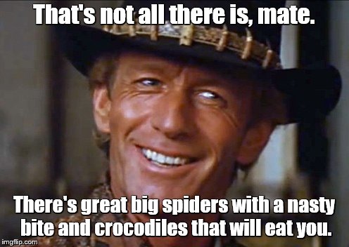 That's not all there is, mate. There's great big spiders with a nasty bite and crocodiles that will eat you. | made w/ Imgflip meme maker