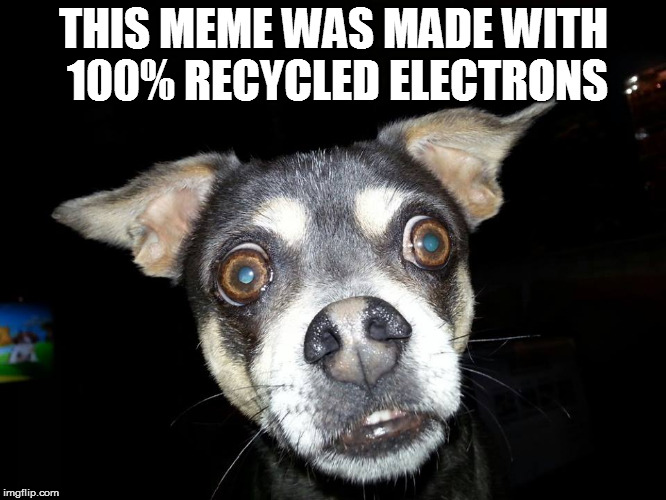 Recycle memes...and their electrons | THIS MEME WAS MADE WITH 100% RECYCLED ELECTRONS | image tagged in recycle,memes,dogs,recycling | made w/ Imgflip meme maker
