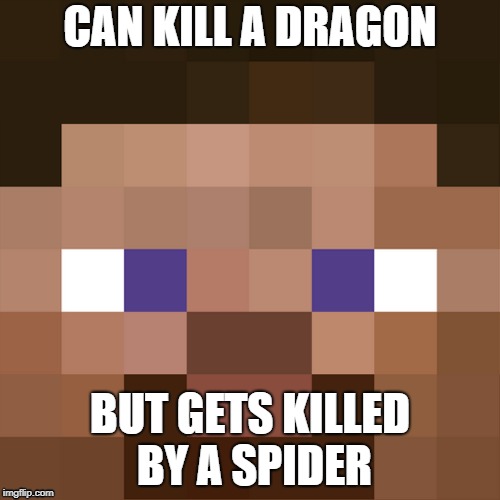 Stupid Logic | CAN KILL A DRAGON; BUT GETS KILLED BY A SPIDER | image tagged in minecraft,dragon,spider | made w/ Imgflip meme maker