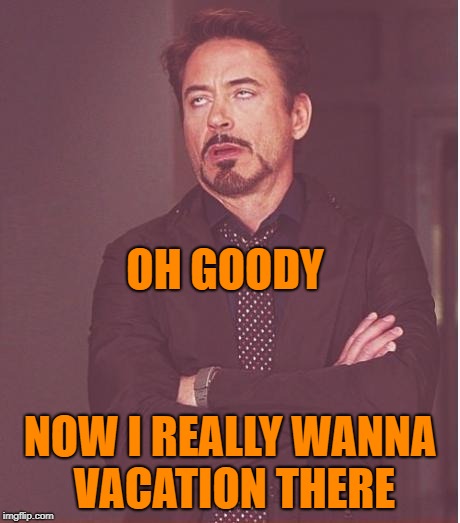 Face You Make Robert Downey Jr Meme | OH GOODY NOW I REALLY WANNA VACATION THERE | image tagged in memes,face you make robert downey jr | made w/ Imgflip meme maker