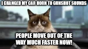 grumpy cat driving | I CHANGED MY CAR HORN TO GUNSHOT SOUNDS; PEOPLE MOVE OUT OF THE WAY MUCH FASTER NOW! | image tagged in grumpy cat driving | made w/ Imgflip meme maker