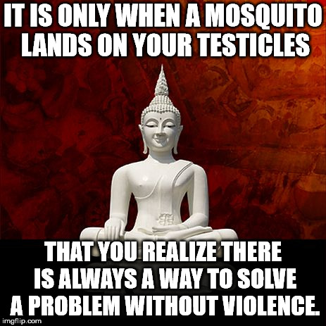 Budda |  IT IS ONLY WHEN A MOSQUITO LANDS ON YOUR TESTICLES; THAT YOU REALIZE THERE IS ALWAYS A WAY TO SOLVE A PROBLEM WITHOUT VIOLENCE. | image tagged in budda | made w/ Imgflip meme maker