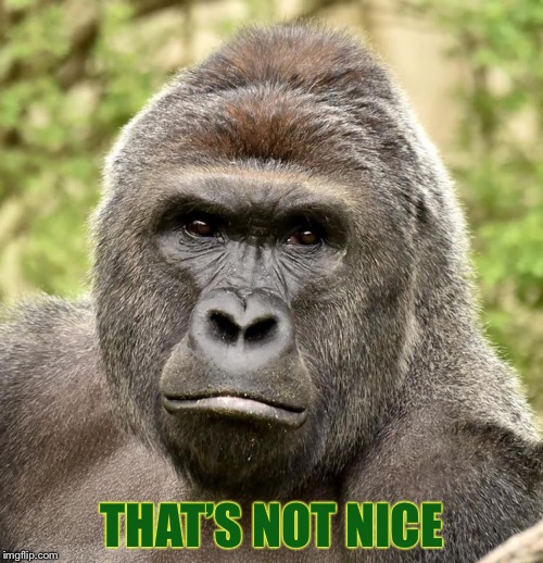 Har | THAT’S NOT NICE | image tagged in har | made w/ Imgflip meme maker