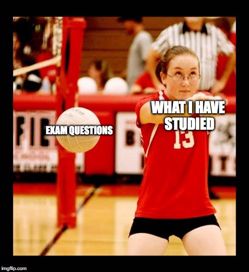 WHAT I HAVE STUDIED; EXAM QUESTIONS | made w/ Imgflip meme maker