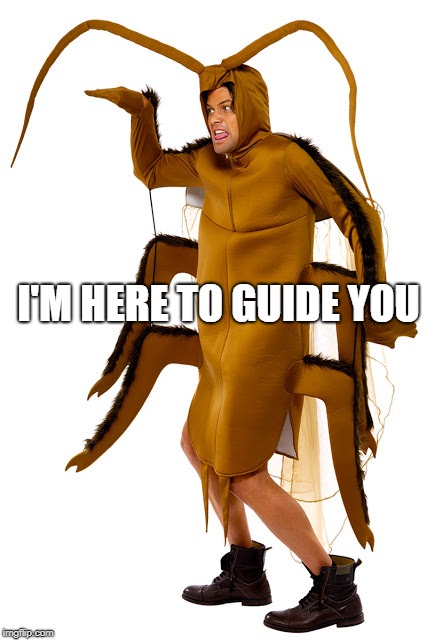 I'M HERE TO GUIDE YOU | made w/ Imgflip meme maker