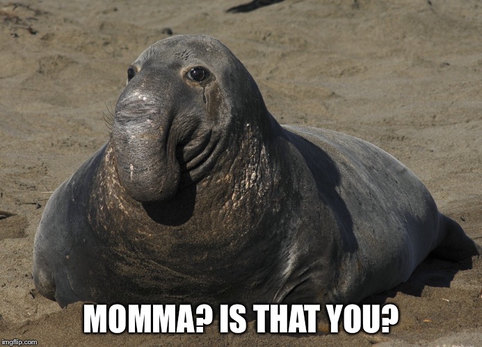MOMMA? IS THAT YOU? | made w/ Imgflip meme maker