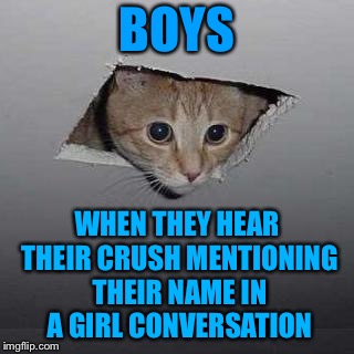 The Suspicion and anxiety that you get When a Girl Mentions your Name is Just Unbearable  | BOYS; WHEN THEY HEAR THEIR CRUSH MENTIONING THEIR NAME IN A GIRL CONVERSATION | image tagged in memes,ceiling cat,funny memes,young love,when your crush,love | made w/ Imgflip meme maker