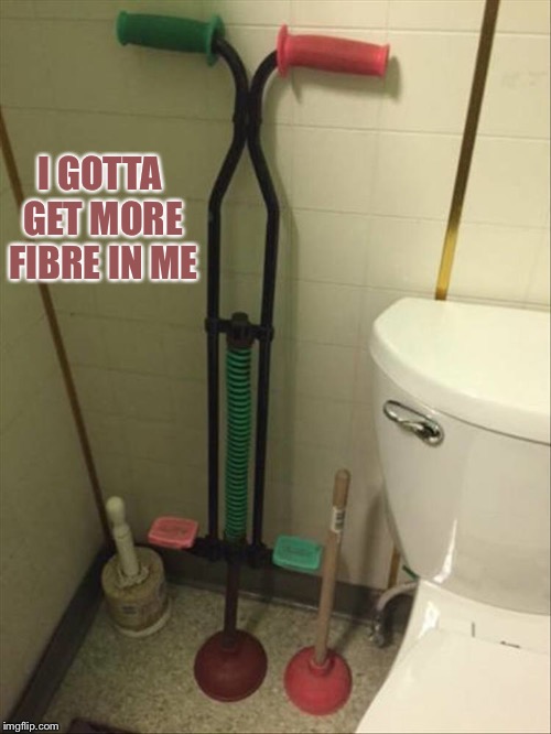 I'm like a kangaroo on that thing. | I GOTTA GET MORE FIBRE IN ME | image tagged in plunger,toilet,memes,funny | made w/ Imgflip meme maker
