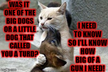 I NEED TO KNOW SO I'LL KNOW HOW BIG OF A GUN I NEED! WAS IT ONE OF THE BIG DOGS OR A LITTLE DOG THAT CALLED YOU A TURD? | image tagged in puppy protector | made w/ Imgflip meme maker