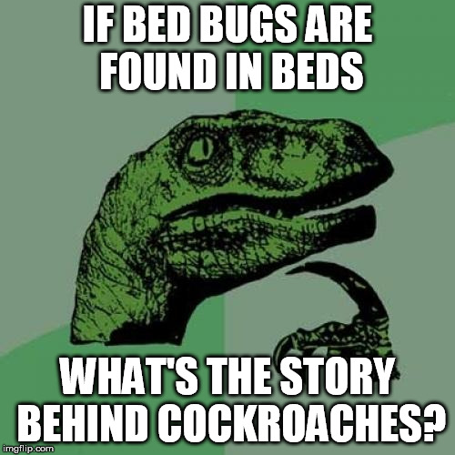 Philosoraptor | IF BED BUGS ARE FOUND IN BEDS; WHAT'S THE STORY BEHIND COCKROACHES? | image tagged in memes,philosoraptor | made w/ Imgflip meme maker