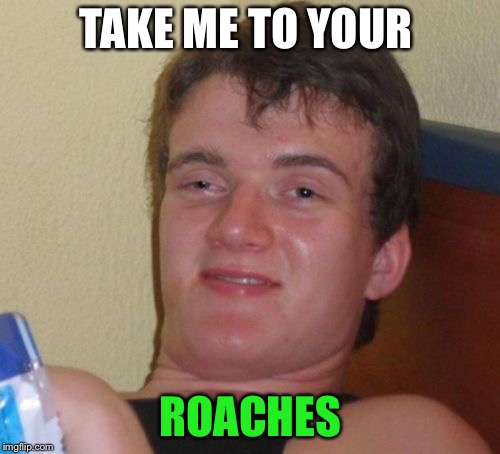10 Guy Meme | TAKE ME TO YOUR ROACHES | image tagged in memes,10 guy | made w/ Imgflip meme maker