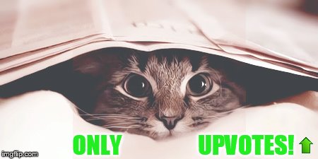 ONLY                 UPVOTES! | made w/ Imgflip meme maker