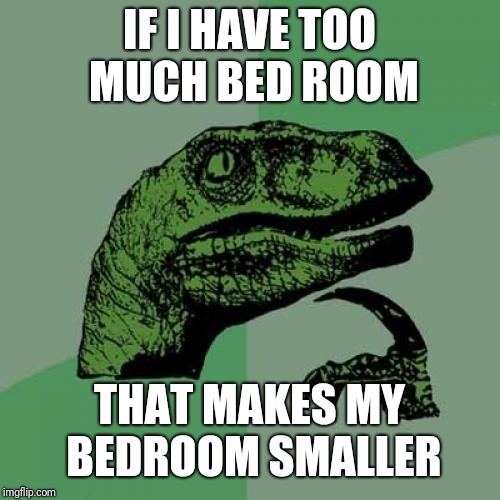 Philosoraptor Meme | IF I HAVE TOO MUCH BED ROOM; THAT MAKES MY BEDROOM SMALLER | image tagged in memes,philosoraptor | made w/ Imgflip meme maker