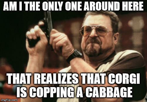 Am I The Only One Around Here Meme | AM I THE ONLY ONE AROUND HERE THAT REALIZES THAT CORGI IS COPPING A CABBAGE | image tagged in memes,am i the only one around here | made w/ Imgflip meme maker