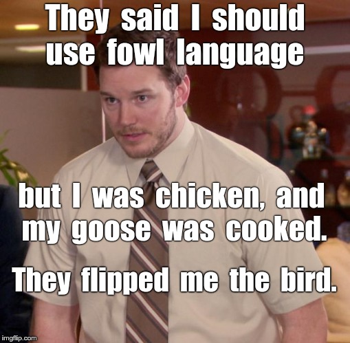 Afraid To Ask Andy Meme | They  said  I  should  use  fowl  language; but  I  was  chicken,  and  my  goose  was  cooked. They  flipped  me  the  bird. | image tagged in memes,afraid to ask andy | made w/ Imgflip meme maker