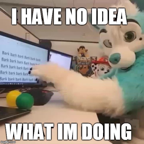 Furry | I HAVE NO IDEA; WHAT IM DOING | image tagged in funny furry | made w/ Imgflip meme maker
