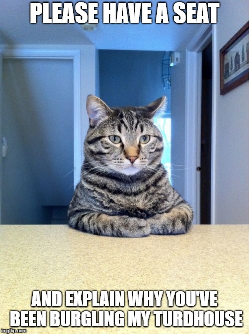 Take A Seat Cat Meme | PLEASE HAVE A SEAT; AND EXPLAIN WHY YOU'VE BEEN BURGLING MY TURDHOUSE | image tagged in memes,take a seat cat | made w/ Imgflip meme maker