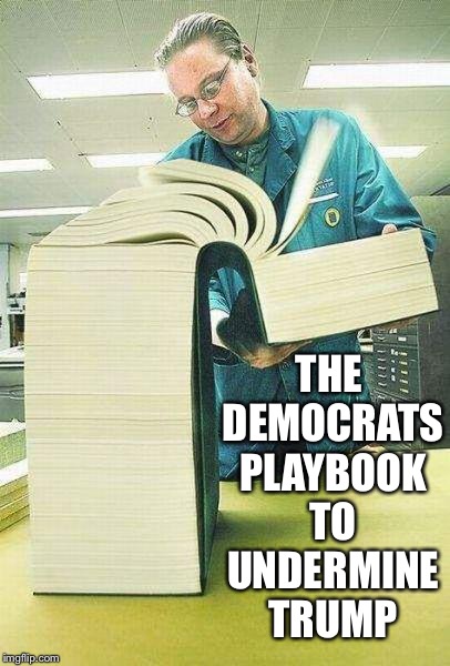 Words that offend Liberals | THE DEMOCRATS PLAYBOOK TO UNDERMINE TRUMP | image tagged in words that offend liberals | made w/ Imgflip meme maker