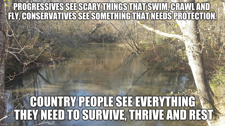 Creek  | PROGRESSIVES SEE SCARY THINGS THAT SWIM, CRAWL AND FLY, CONSERVATIVES SEE SOMETHING THAT NEEDS PROTECTION. COUNTRY PEOPLE SEE EVERYTHING THEY NEED TO SURVIVE, THRIVE AND REST | image tagged in creek | made w/ Imgflip meme maker