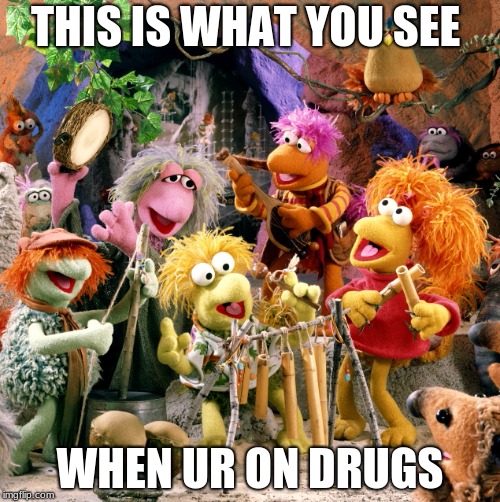 fraggle rock | THIS IS WHAT YOU SEE; WHEN UR ON DRUGS | image tagged in fraggle rock | made w/ Imgflip meme maker