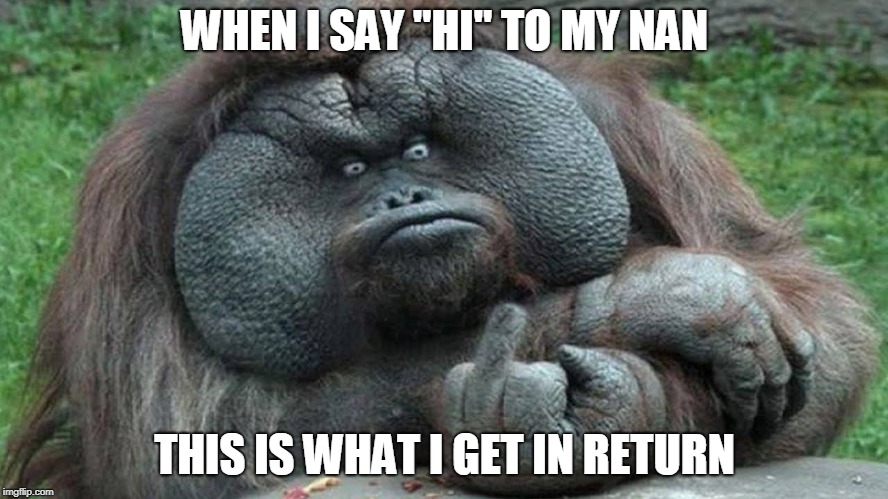 WHEN I SAY "HI" TO MY NAN; THIS IS WHAT I GET IN RETURN | image tagged in life sucks | made w/ Imgflip meme maker