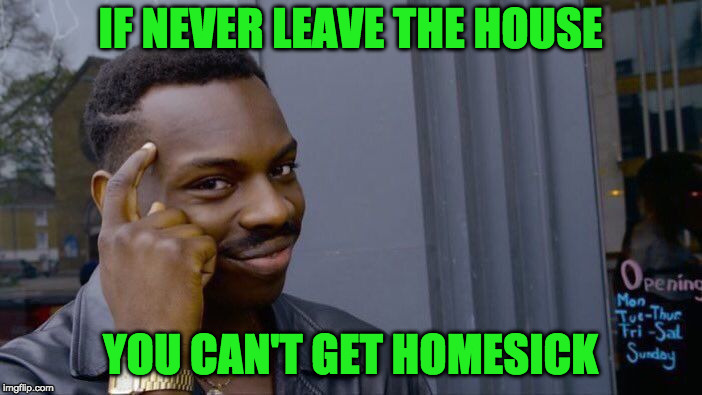 Roll Safe Think About It Meme | IF NEVER LEAVE THE HOUSE YOU CAN'T GET HOMESICK | image tagged in memes,roll safe think about it | made w/ Imgflip meme maker