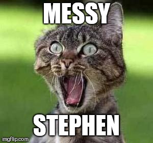 scared cat | MESSY; STEPHEN | image tagged in scared cat | made w/ Imgflip meme maker