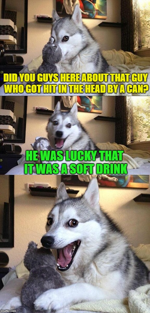 Bad Pun Dog | DID YOU GUYS HERE ABOUT THAT GUY WHO GOT HIT IN THE HEAD BY A CAN? HE WAS LUCKY THAT IT WAS A SOFT DRINK | image tagged in memes,bad pun dog | made w/ Imgflip meme maker