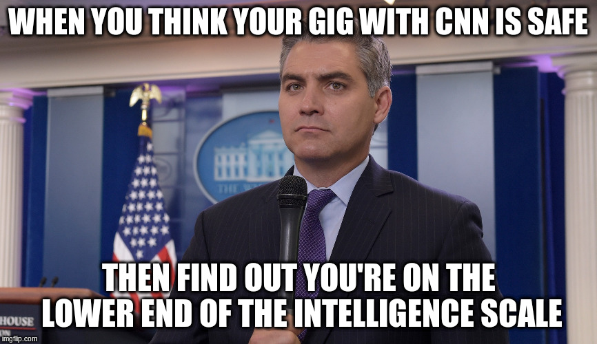 Jim Acosta NBC | WHEN YOU THINK YOUR GIG WITH CNN IS SAFE; THEN FIND OUT YOU'RE ON THE LOWER END OF THE INTELLIGENCE SCALE | image tagged in jim acosta nbc | made w/ Imgflip meme maker