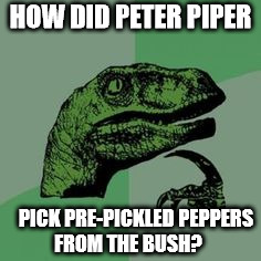 Do you know what it takes to pickle a pepper? | HOW DID PETER PIPER; PICK PRE-PICKLED PEPPERS FROM THE BUSH? | image tagged in time raptor,peppers,funny,deep thoughts | made w/ Imgflip meme maker