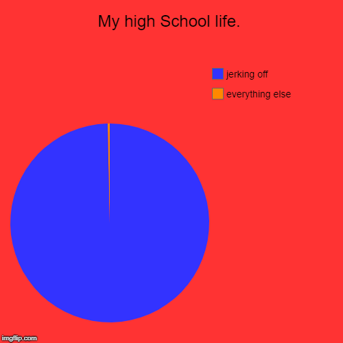 My high School life. | everything else, jerking off | image tagged in funny,pie charts | made w/ Imgflip chart maker