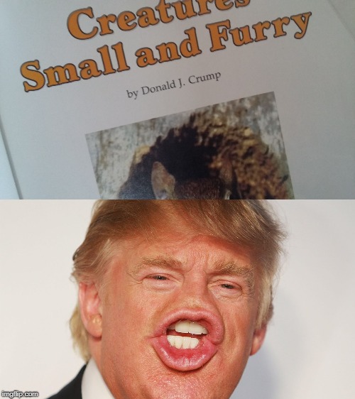 Well there | image tagged in memes,donald trump | made w/ Imgflip meme maker