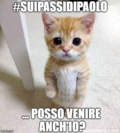 Cute Cat Meme | #SUIPASSIDIPAOLO; ... POSSO VENIRE ANCH'IO? | image tagged in memes,cute cat | made w/ Imgflip meme maker