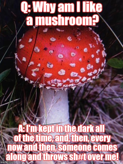 Q: Why am I like a mushroom? A: I'm kept in the dark all of the time, and, then, every now and then, someone comes along and throws sh#t over me! | made w/ Imgflip meme maker