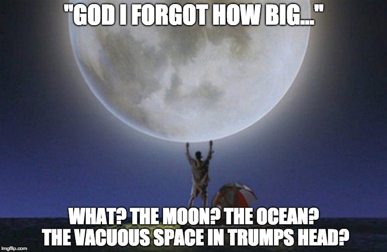 God, I forgot how big | "GOD I FORGOT HOW BIG..."; WHAT? THE MOON? THE OCEAN? THE VACUOUS SPACE IN TRUMPS HEAD? | image tagged in trump,joe vs the volcano | made w/ Imgflip meme maker