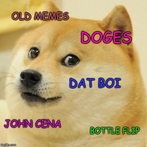Doge | OLD MEMES; DOGES; DAT BOI; JOHN CENA; BOTTLE FLIP | image tagged in memes,doge | made w/ Imgflip meme maker