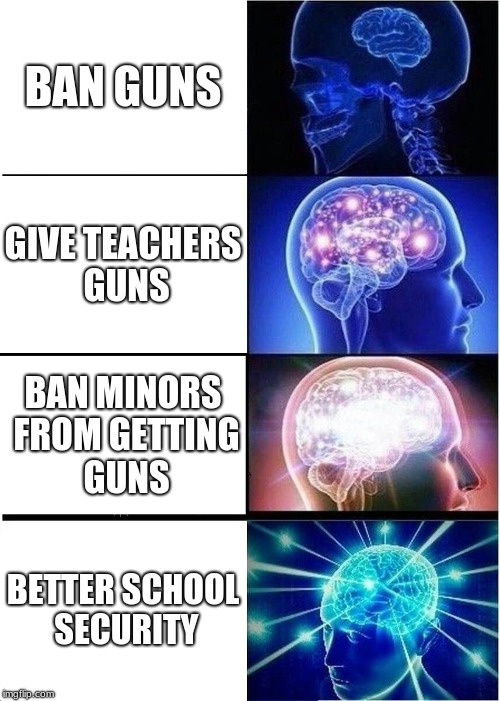 Expanding Brain Meme | BAN GUNS; GIVE TEACHERS GUNS; BAN MINORS FROM GETTING GUNS; BETTER SCHOOL SECURITY | image tagged in memes,expanding brain | made w/ Imgflip meme maker