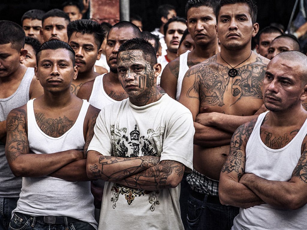 ms-13 dreamers daca Blank Meme Template