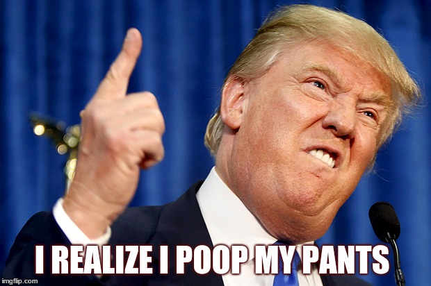 Donald Trump | I REALIZE I POOP MY PANTS | image tagged in donald trump | made w/ Imgflip meme maker