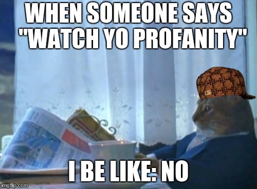 I Should Buy A Boat Cat | WHEN SOMEONE SAYS 
"WATCH YO PROFANITY"; I BE LIKE: NO | image tagged in memes,i should buy a boat cat,scumbag | made w/ Imgflip meme maker