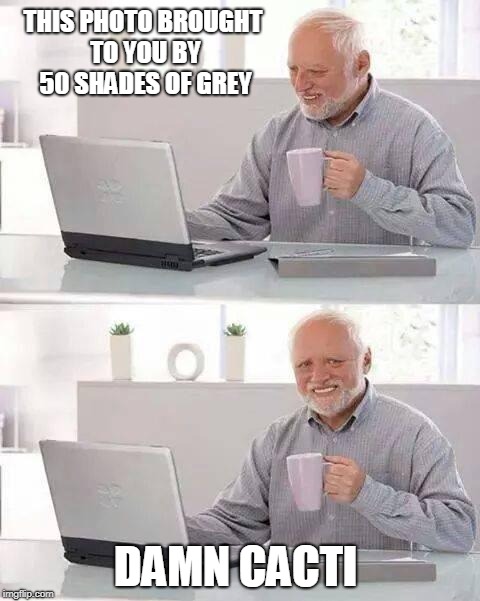 Hide the Pain Harold Meme | THIS PHOTO BROUGHT TO YOU BY 50 SHADES OF GREY; DAMN CACTI | image tagged in memes,hide the pain harold | made w/ Imgflip meme maker