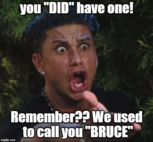 for crying out loud | you "DID" have one! Remember?? We used to call you "BRUCE" | image tagged in for crying out loud | made w/ Imgflip meme maker