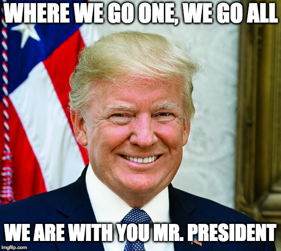 WHERE WE GO ONE, WE GO ALL; WE ARE WITH YOU MR. PRESIDENT | image tagged in president trump | made w/ Imgflip meme maker