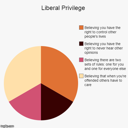 Liberal Privilege | Believing that when you're offended others have to care, Believing there are two sets of rules: one for you and one for  | image tagged in funny,pie charts | made w/ Imgflip chart maker