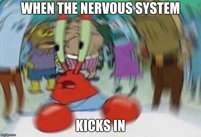 Nervous Krabs | WHEN THE NERVOUS SYSTEM; KICKS IN | image tagged in nervous krabs | made w/ Imgflip meme maker