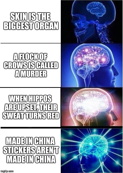 Expanding Brain | SKIN IS THE BIGGEST ORGAN; A FLOCK OF CROWS IS CALLED A MURDER; WHEN HIPPOS ARE UPSET, THEIR SWEAT TURNS RED; MADE IN CHINA STICKERS AREN'T MADE IN CHINA | image tagged in memes,expanding brain | made w/ Imgflip meme maker