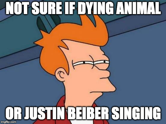 Futurama Fry | NOT SURE IF DYING ANIMAL; OR JUSTIN BEIBER SINGING | image tagged in memes,futurama fry | made w/ Imgflip meme maker