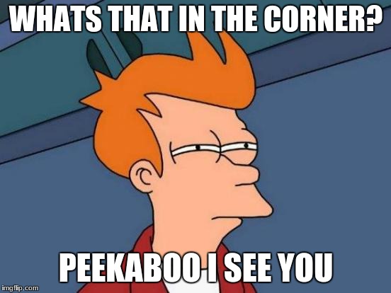 Futurama Fry | WHATS THAT IN THE CORNER? PEEKABOO I SEE YOU | image tagged in memes,futurama fry | made w/ Imgflip meme maker