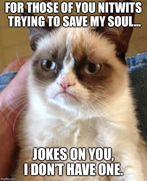 Grumpy Cat | FOR THOSE OF YOU NITWITS TRYING TO SAVE MY SOUL... JOKES ON YOU, I DON’T HAVE ONE. | image tagged in memes,grumpy cat | made w/ Imgflip meme maker